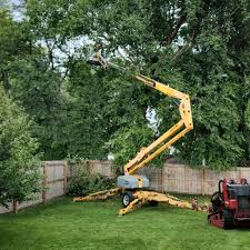 Best Storm Damage Tree Cleanup  in Saw Creek, PA