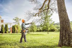 Best Hazardous Tree Removal  in Saw Creek, PA